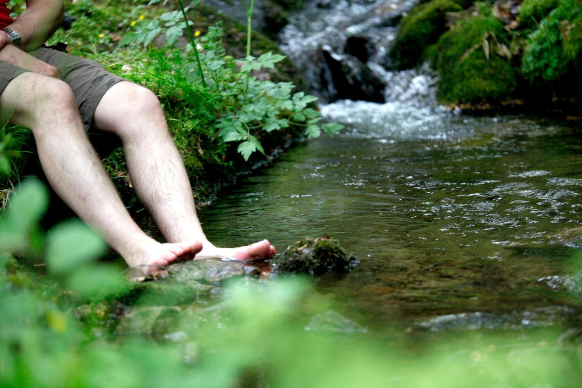 Paradies Im Schwarzwald Бад Петерстал-Грисбах Екстериор снимка